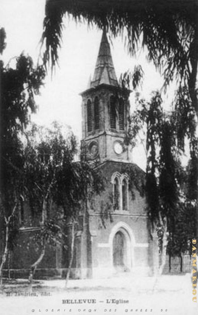 BELLEVUE (2).jpg